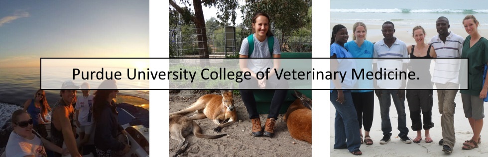 Purdue University of Veterinary Medicine. 